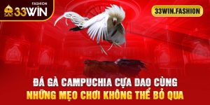 đá gà campuchia cựa dao