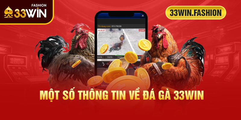 Một số thông tin về đá gà 33Win