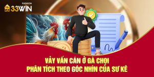 Vảy vấn cán